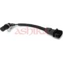 Nokkenassensor ASHIKA - 152-0K-K02