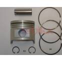 Piston ASHIKA - 39-220