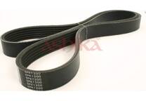 Poly V-riem