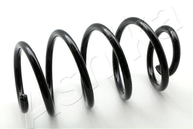Coil Spring