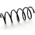 Suspension Spring ASHIKA - ZCA1574G