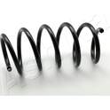 Suspension Spring ASHIKA - ZCA2683H