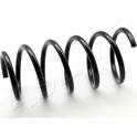 Suspension Spring ASHIKA - ZCA3068G