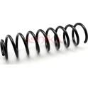 Suspension Spring ASHIKA - ZCA5885C