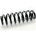 Suspension Spring ASHIKA - ZCA7060A