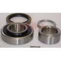 Wheel Bearing Kit ASHIKA - 44-28000