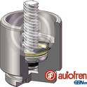 Kolben, Bremssattel AUTOFREN SEINSA - D025641LK