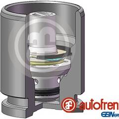 Kolben- Bremssattel AUTOFREN SEINSA D02593K | MISTER-AUTO 