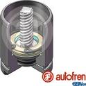 Piston- brake caliper AUTOFREN SEINSA - D025529K
