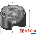 Piston- brake caliper AUTOFREN SEINSA - D025565