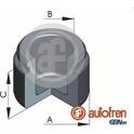 Piston- brake caliper AUTOFREN SEINSA - D025616