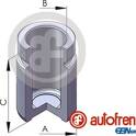 Piston- brake caliper AUTOFREN SEINSA - D025617