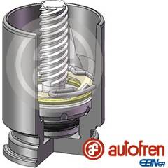 Piston (étrier de frein) AUTOFREN SEINSA - D02523K