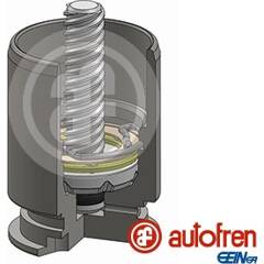 Piston (étrier de frein) AUTOFREN SEINSA - D025363RK