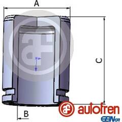 Piston (étrier de frein) AUTOFREN SEINSA - D025435