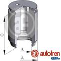 Piston (étrier de frein) AUTOFREN SEINSA - D02545