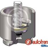 Piston (étrier de frein) AUTOFREN SEINSA - D025641RK