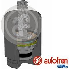 Piston (étrier de frein) AUTOFREN SEINSA - D025642K