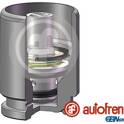 Piston (étrier de frein) AUTOFREN SEINSA - D025667K
