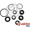 Repair Kit- brake master cylinder AUTOFREN SEINSA - D1666