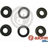 Repair Kit, brake master cylinder AUTOFREN SEINSA - D1851