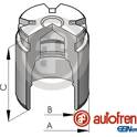 Zuiger, remklauw AUTOFREN SEINSA - D025124
