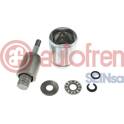 Zuiger, remklauw AUTOFREN SEINSA - D025659K