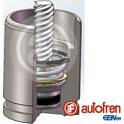 Zuiger, remklauw AUTOFREN SEINSA - D025742K