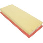 Air Filter AUTOMEGA - 180016810