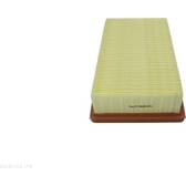 Air Filter AUTOMEGA - 180034510