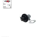 EGR Valve AUTOMEGA - 250721710