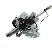 Front shock absorber AUTOMEGA - 110018010