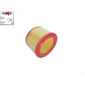 Luftfilter AUTOMEGA - 180029810