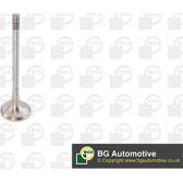 Auslassventil BGA - V142050