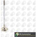 Auslassventil BGA - V799602