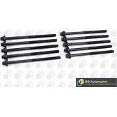 Boulon / vis de culasse de cylindre BGA - BK5302
