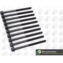Cylinder Head Bolt Set BGA - BK6398