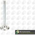 Exhaust Valve BGA - V537851