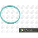 Gasket, intake manifold BGA - RW4353