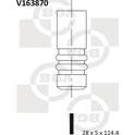 Inlet Valve BGA - V163870