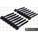 Juego de tornillos de culata BGA - BK5316