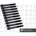 Kit bulloni testata BGA - BK5335