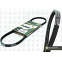 Poly V-riem BGA - 3PK715