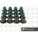 Seal Set, valve stem BGA - VK3367