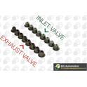 Seal Set, valve stem BGA - VK6338