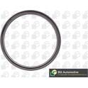 Shaft Seal, crankshaft BGA - OS8391