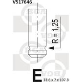 Soupape d'échappement BGA - V517646