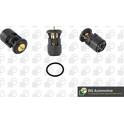 Thermostat, coolant BGA - CT5240