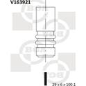 Válvula de escape BGA - V163921