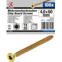 Viti multiuso con profilo a T (per Torx) T20 4,0 x 60 mm 100 pezzi BGS DIY - 80996